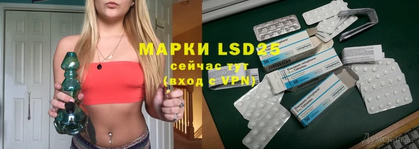 прущие грибы Покачи
