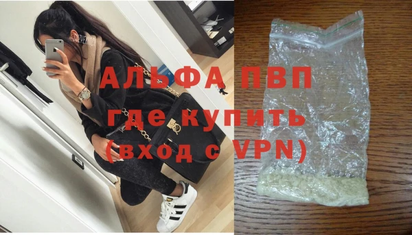прущие грибы Покачи