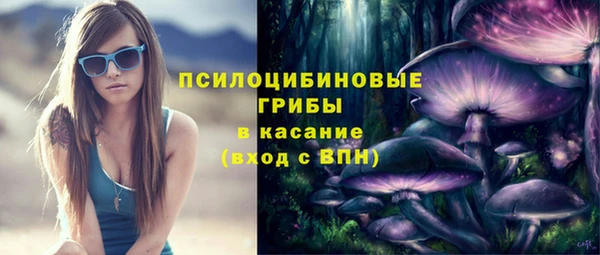 а пвп мука Алзамай