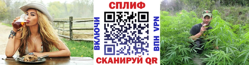 где купить наркотик  кракен ТОР  Конопля Amnesia  Арсеньев 